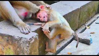 Oh G0d Please H-elp With Best Bless Baby LEO Was K-neading To B-eat To Cement Floor H-ardly Even LEO