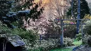 drippin so pretty - sleep forever (slowed + reverb to perfection 🤍)