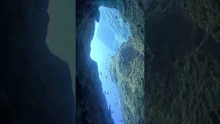 Underwater Aliens: Parallel Evolution or Secret Rulers of the Planet? #ocean #ovnis
