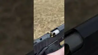 Springfield Prodigy problems
