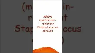 Methicillin Resistant Staphylococcus Aureus#shorts#shortsfeed#microbiology#usmle😷🦠💉🤒🩺🏥☠🤮🤢⚕🧫🤧☣⚰🧑🏽&zwj;⚕️
