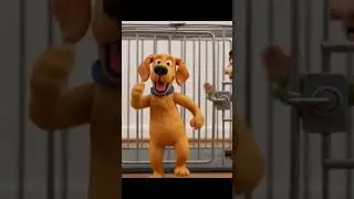 A happy dog out of his cage 🤗🤗🤗