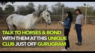 Learn How To Speak With Horses | Curly Tales