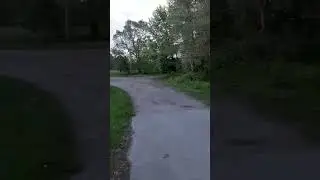Рідна Українська Мова! 🙏Соловьіна! ❤️❤️❤️ Приємно слухати!!;❤️❤️❤️🙏 16/07/2025 г.