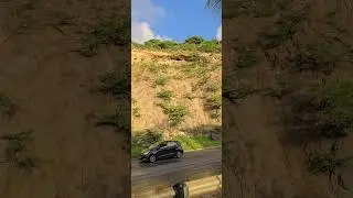 #goat #goats #route #road #islandlife