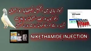 injection nikethamide uses for pigeon.kaisy aur kyun istmal Kiya jata iska alternative Kya hai