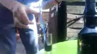 Snorting opal sambuca