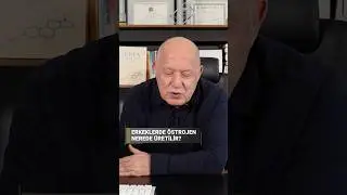 Erkeklerde &Ouml;strojen Nerede &Uuml;retilir?