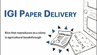 IGI Paper Delivery: Rice that reproduces as a clone is agricultural breakthrough