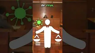 TE EXPLICO LA HISTORIA DE ANIMEFLV #shorts
