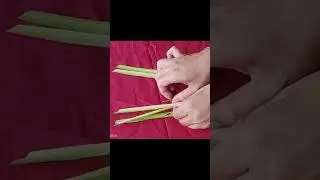 kulit peras  #bali #tutorial #craft #diy