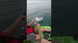 Tax man payed a visit today #fishing #outdoors #fails #funny #fun #scaru #shark #kayak