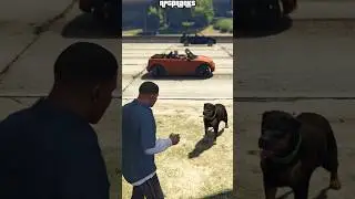 Playing Fetch With Chop On a Busy Highway!