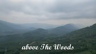 Above the Woods | Village Views | Plantation Views | Kerala | 4K