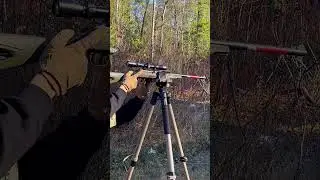 22LR Winchester Wildcat