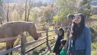 FALL VIEW AT SUNDANCE MOUNTAIN