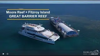 Great Barrier Reef Tour from Cairns - Fitzroy Island & Moore Reef SUNLOVER reef cruises #snorkelling