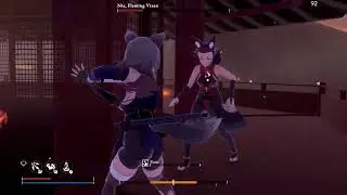 Illusive Domain Nia Boss Fight Win. Bugs? What Bugs?