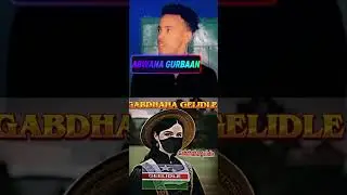 Gabay qiimo leh afyal gurban