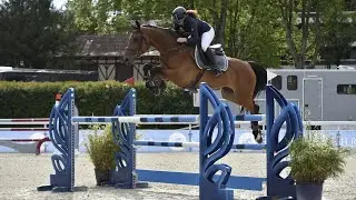 &Agrave; vendre Jument de 9 ans Golden one de lessac