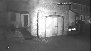 Gatto Fantasma -Ghost Cat !!!????