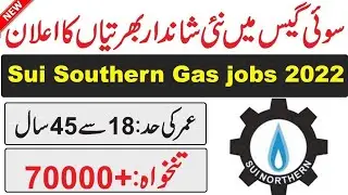 ssgc jobs 2022 | Sui southern gas ssgc jobs 2022 online apply male and female