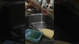 ASMR Dishwashing satisfaction level #satisfysoul#dishcleaning #household #satisfying #night