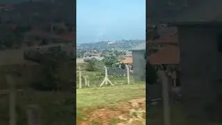 Sight and sound of Kitende