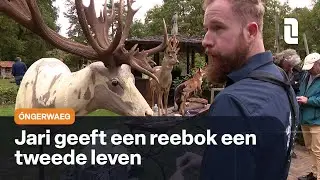 &Oacute;ngerwaeg krijgt een tweede leven in Heythuysen