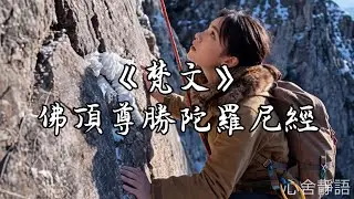 1小時禪修精選｜佛頂尊勝陀羅尼｜延壽滅罪・祈願平安・最美的佛教唱誦 (1 Hour Zen Chanting | 1時間の瞑想・平安を願う) #冥想音樂 #放鬆 #心舍靜語 #心經 #睡眠用bgm