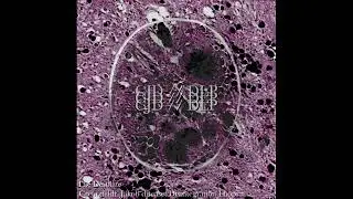 The Desolate - CJD;DLP (CJD: EVER-DESOLATE OUTCOME) (FULL ALBUM)