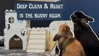 Deep Clean & Reset The Bunny Room With Me | Real Time Cleaning