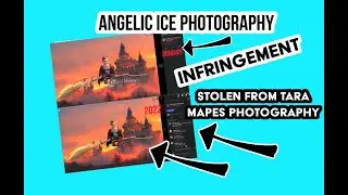 Review of Angelic Ice Photography Infringement on Tara Mapes Photography Part 2