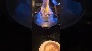 Baked Alaska