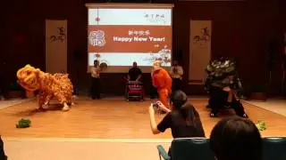 Lion Dance - ( 德 尼 蒂  斯 功 夫 )