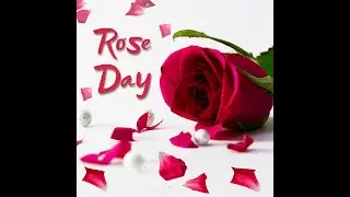 How to Celebrate Rose Day with Your Loved One .Some tips and gift idea for rose day 7Feb