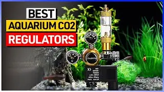 Best Aquarium CO₂ Regulators 2026 🐠 Don&rsquo;t Buy Until You WATCH This!