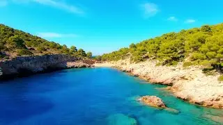Weekend Reset 🌿 Nature Healing Music to Cleanse Your Energy, Deep Relaxation & Water Sounds