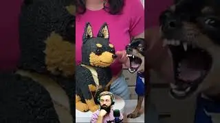 Funny dog reaction prank🍰🎂