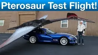 Test flying the World's only full size Pterosaur, 38 foot