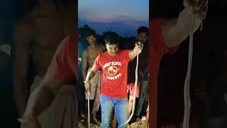 Cobra snake rescue #snakerescueteam #cobrarescue #snake #automobile #wildlife #viralvideo #snake