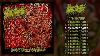 Morgue Tar - Diegested FULL ALBUM (2024 - Goregrind / D-Beat)