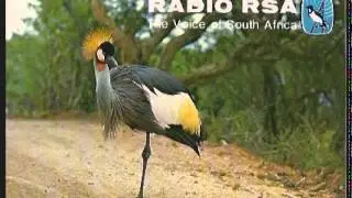 Radio RSA   The Voice of South Africa   Johannesburg   Shortwave Broadcast 1980s