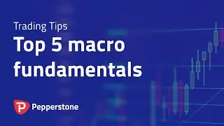 Macro Fundamentals