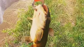 COLD FRONT RAIN STORM FISHING music video