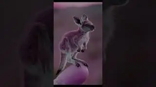 Cute baby animals on finger