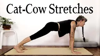 Cat Cow Yoga - Stretch and Strengthen the Spine, Shoulders, Neck and Core