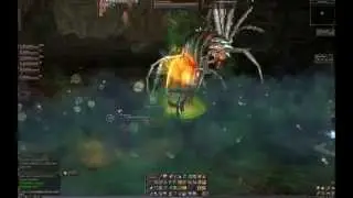 Lineage 2 - Teredor Raid boss -  Tyrr Warrior