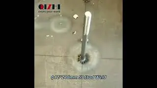 QZ SC1801 --12 * 218mm SS stud