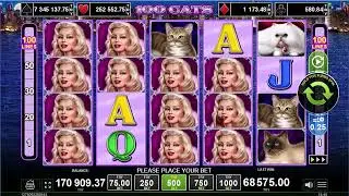 Hİ&Ccedil; FULL EKRAN KIZ G&Ouml;RD&Uuml;N&Uuml;ZM&Uuml; ⭐ #EGT SLOT OYUNLARI 👑 100 CATS ⭐ VURGUNUN KRALINI YAPIP KA&Ccedil;TIM